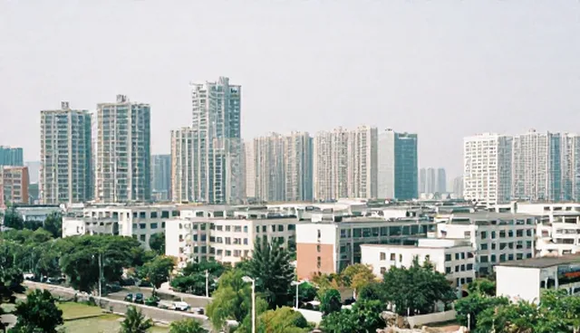 中小客户在技术支持服务中的适用情况与限制分析